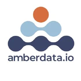 Logo of Amberdata